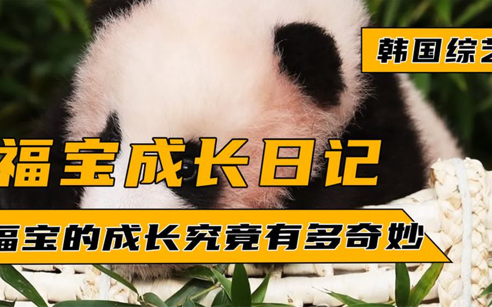 福宝成长日记,各个时间段的变化都不一样,喝奶睡觉的样子超可爱