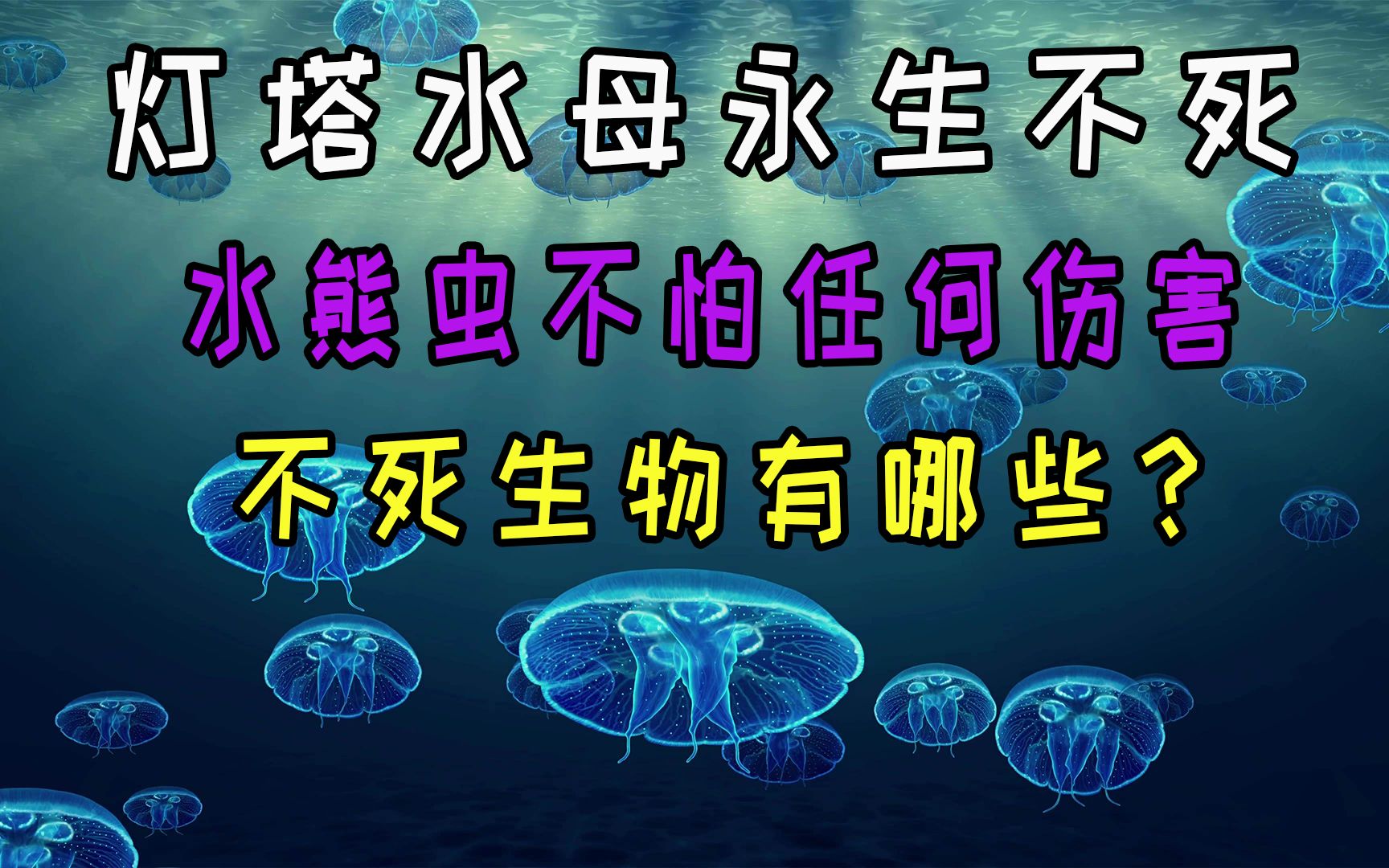 灯塔水母永生不死,水熊虫不怕任何伤害,不死生物有哪些?