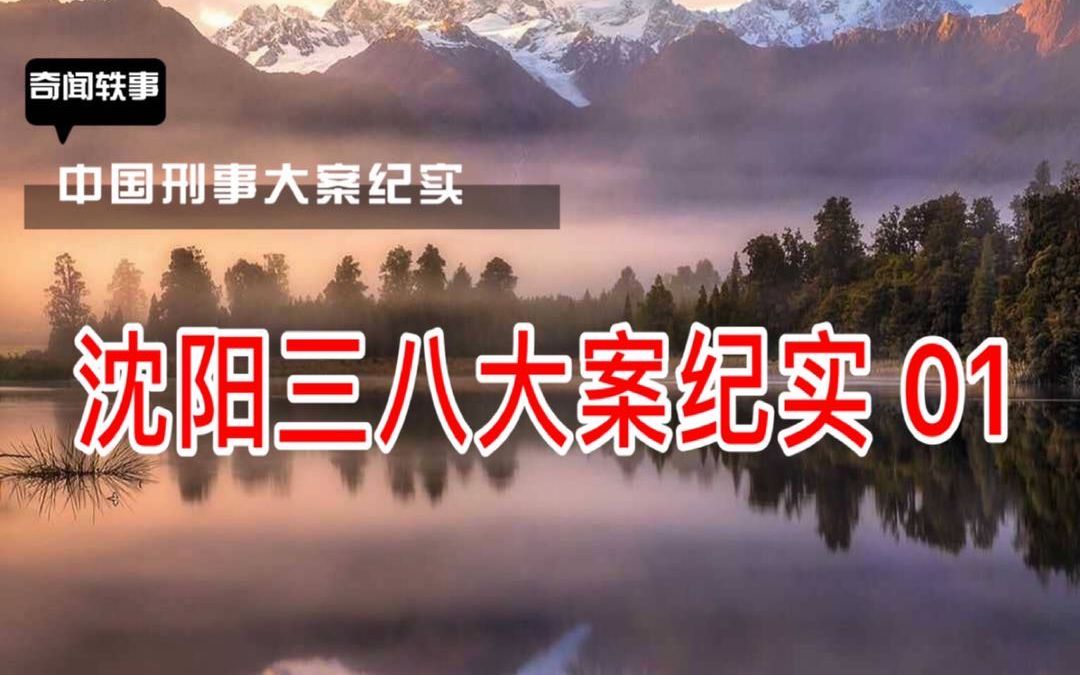 [图]【大案纪实】沈阳三八大案侦破纪实 01