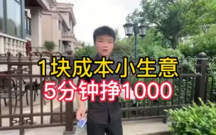 翻身暴利小生意，年前还能搞个10vv