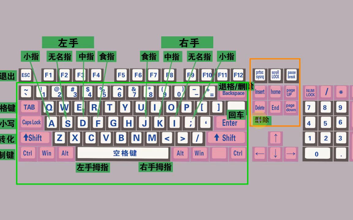 零基礎學電腦從認識鍵盤開始,不會打字的,記不住鍵盤的看過來