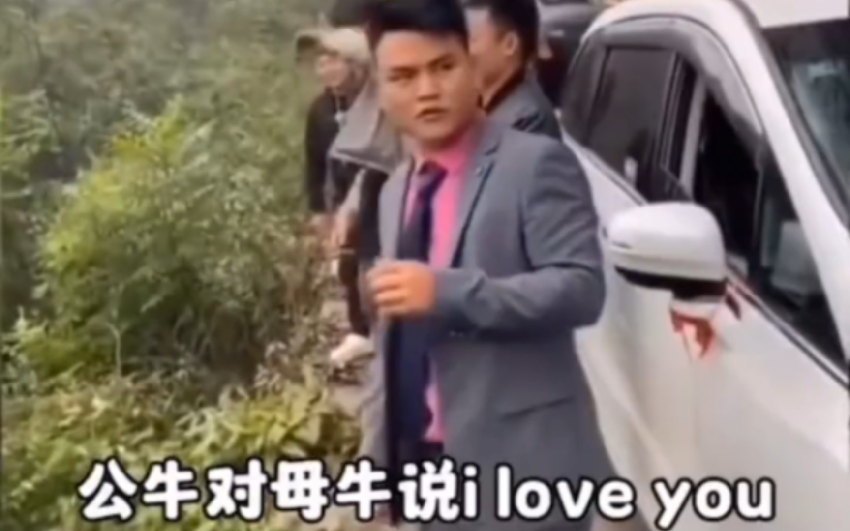 [图]对面的山上有两头牛,公牛对母牛说I Love You