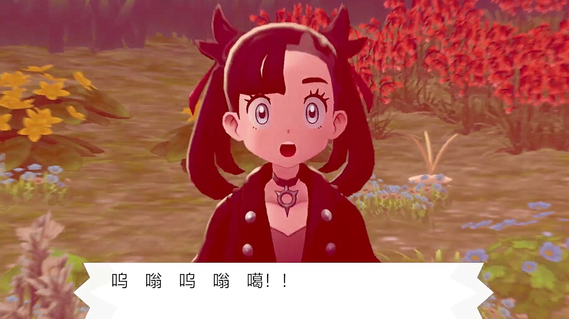 【宝可梦剑盾】dlc 1剧情流程1