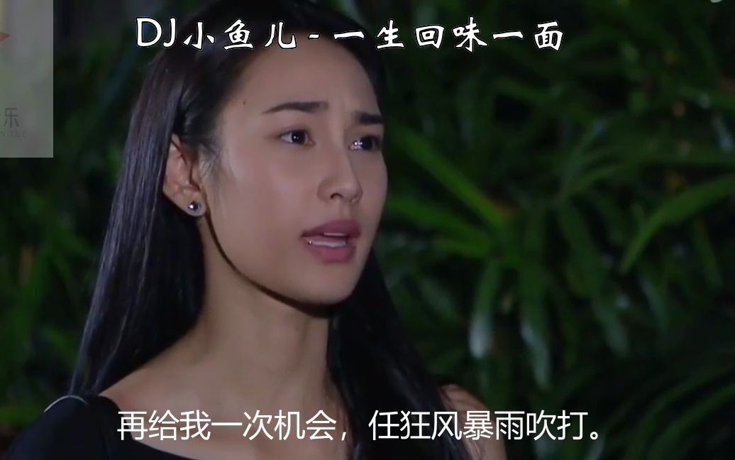 DJ小鱼儿《 一生回味一面》影视MV,抖音热曲,节奏感超强的动感旋律哔哩哔哩bilibili