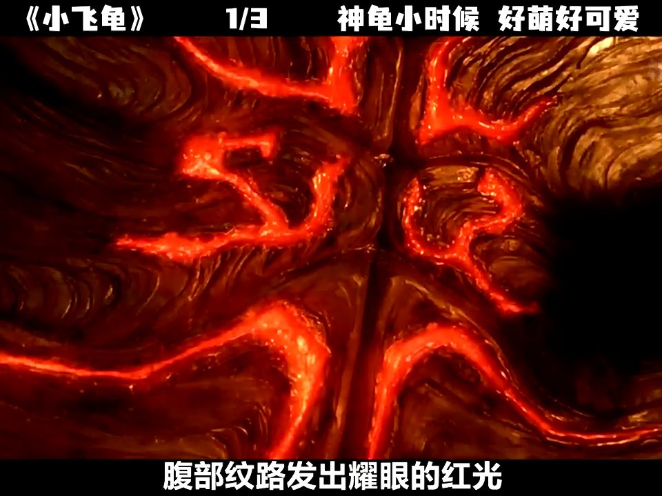 勇者神龟战斗中自爆,在33年后重生.奇幻片《小勇者加美拉》