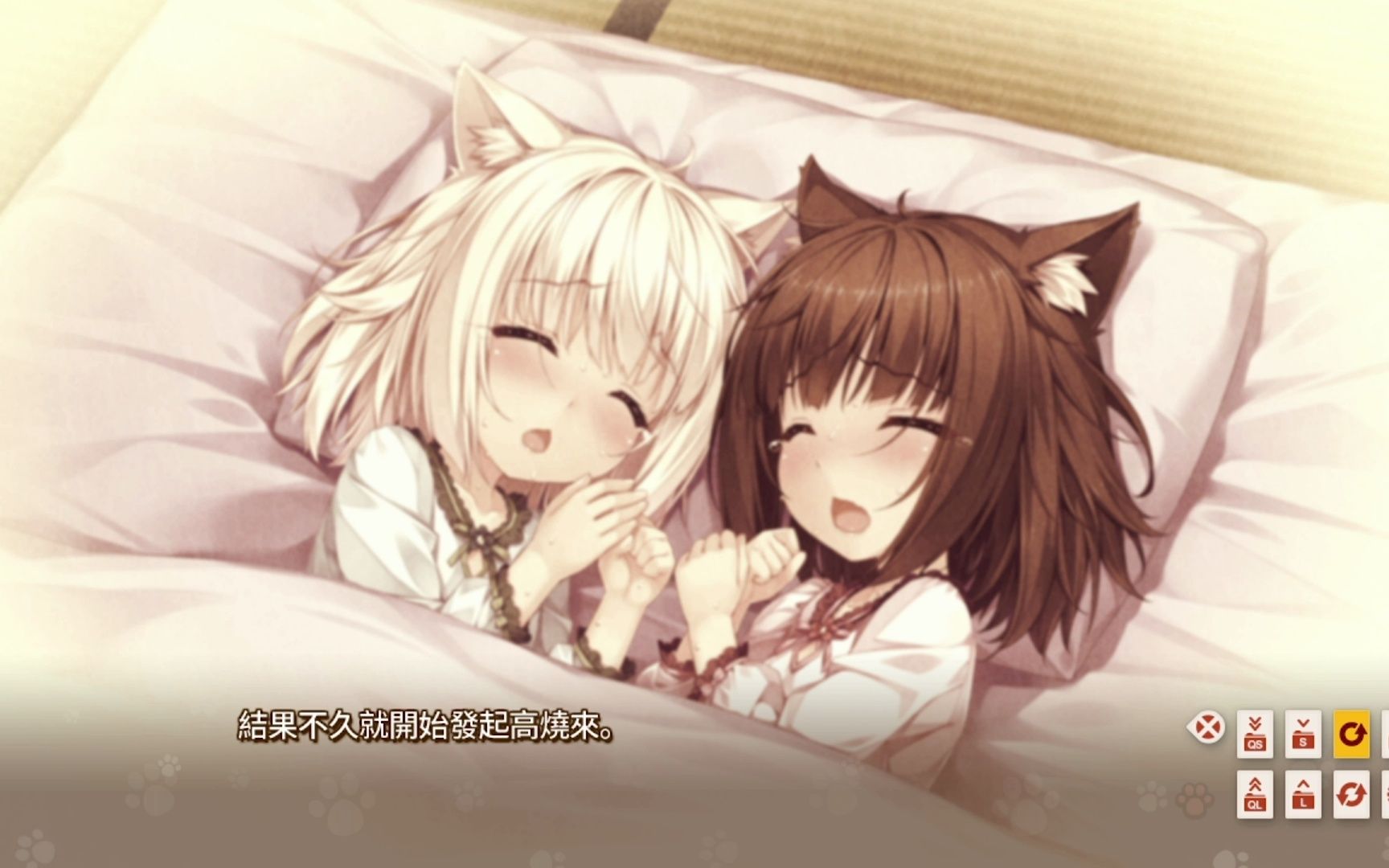 [图]《GAL推荐》nekopara 猫娘乐园 0-1 pc+安卓 汉化