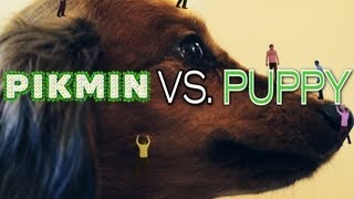 [图][Warialasky]Pikmin vs. Puppy