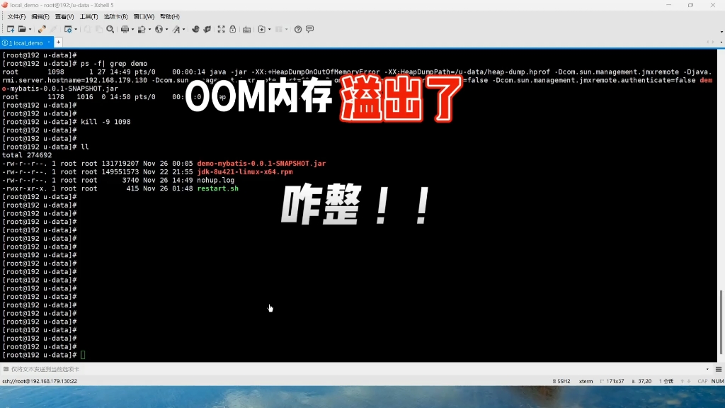服务OOM内存溢出了,如何排查