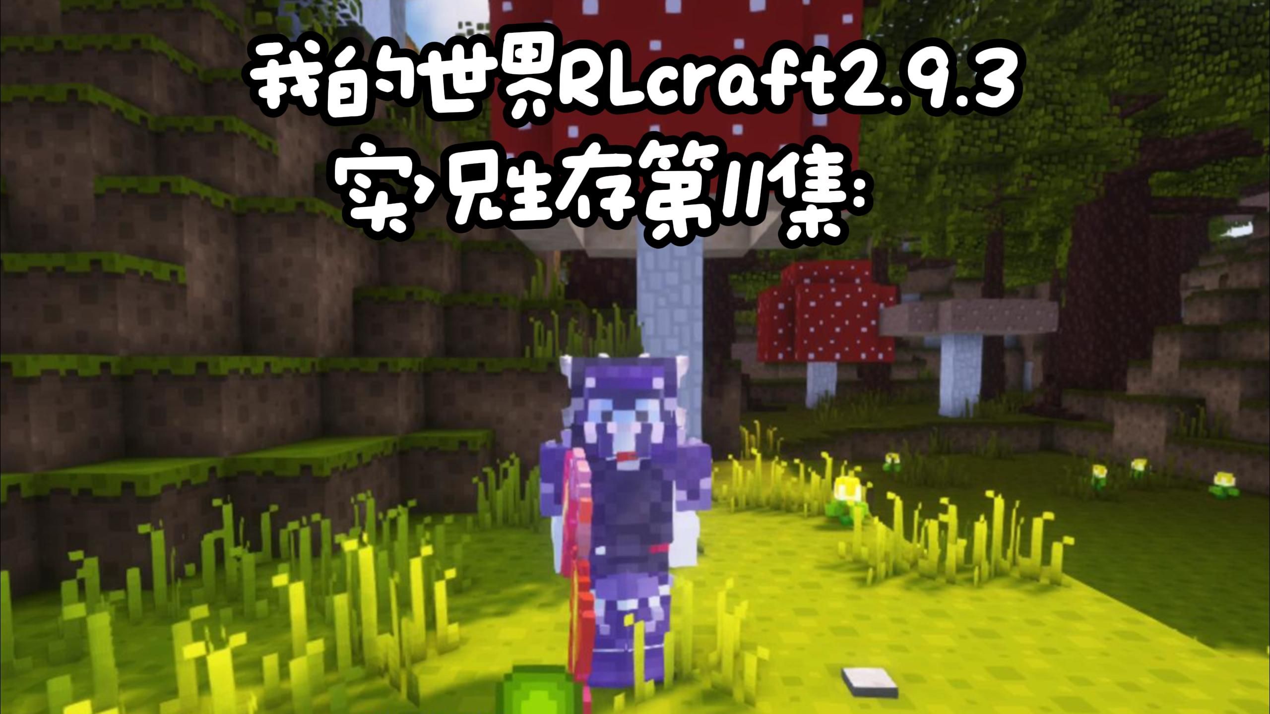 我的世界rlcraft实况生存第11集:神弓!屠灭五级龙!