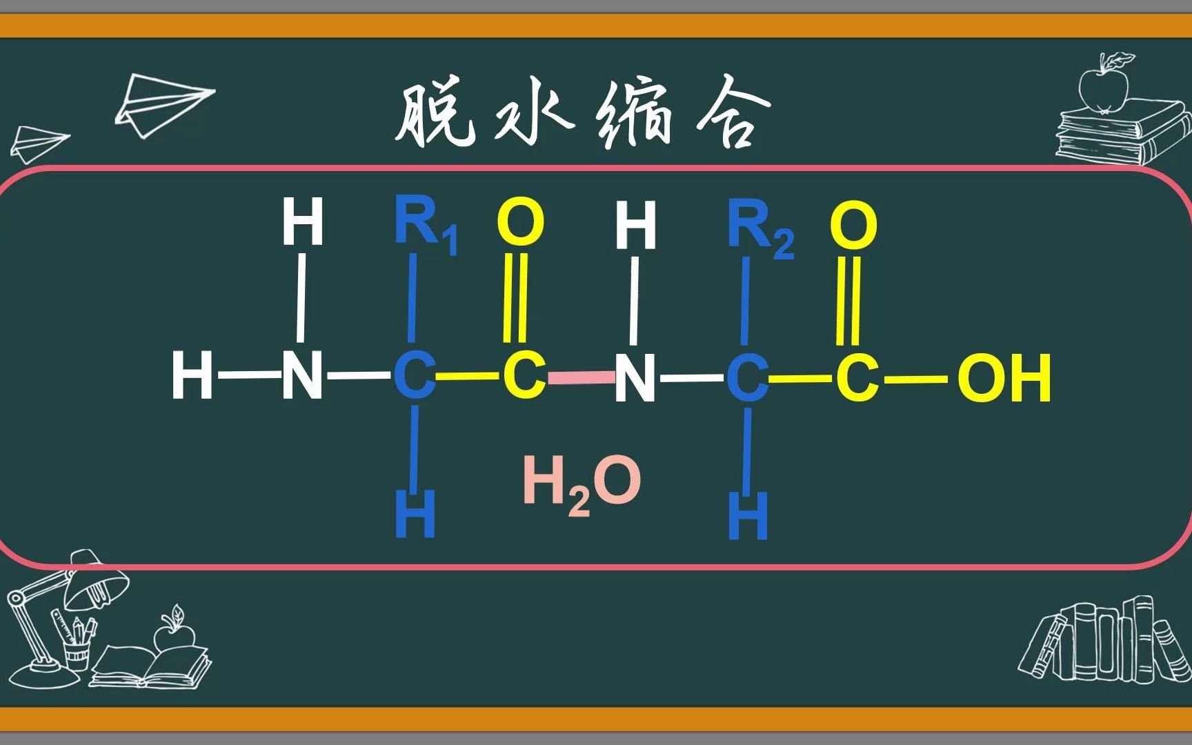 脱水缩合哔哩哔哩bilibili