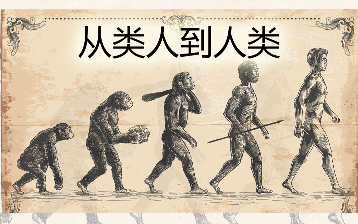 从类人到人类我们究竟有什么不同 老高与小茉 mr m