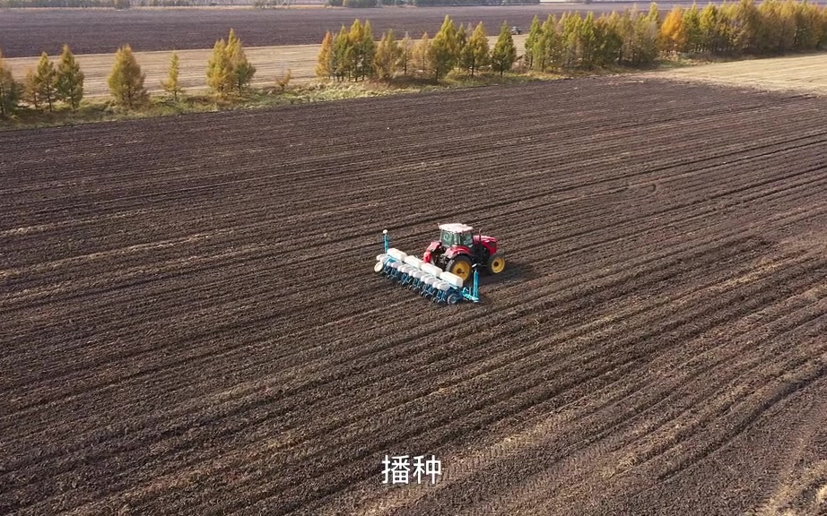 [图]联手北大荒农业打造全球领先的超万亩无人农场，目之所及都是丰收！