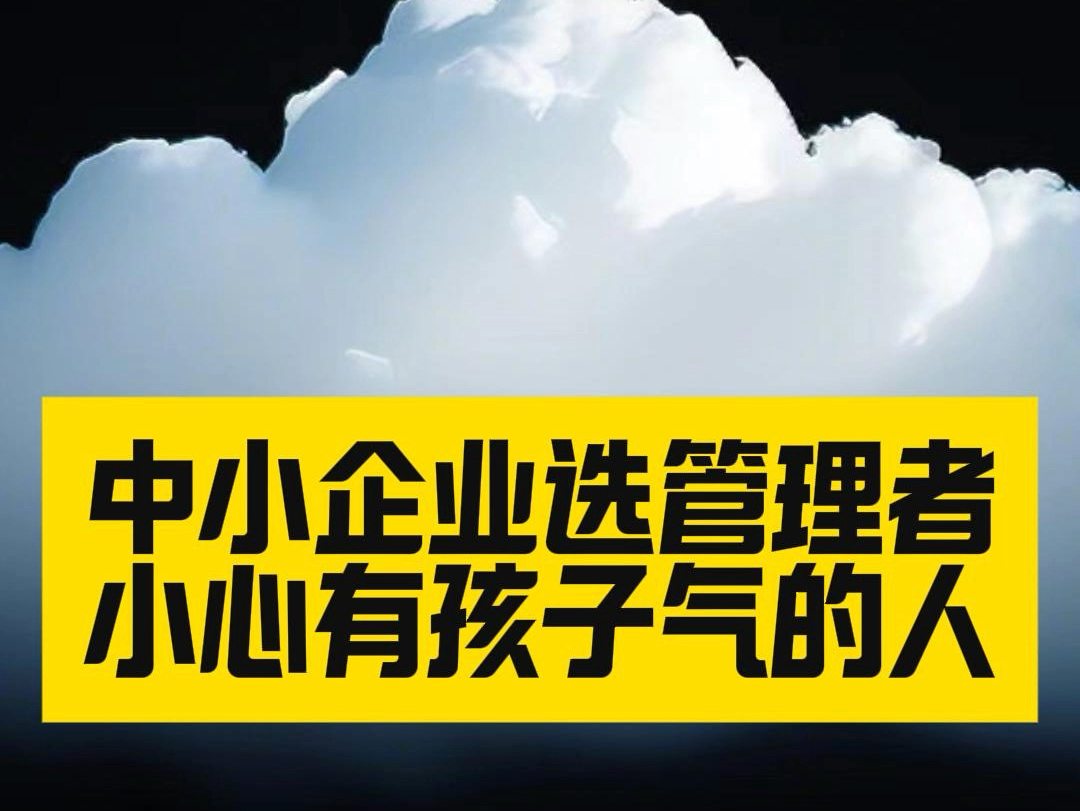 中小企业主提拔管理干部时,要注意那些有孩子气的人#企业管理#中小企业#管理智慧#企业老板哔哩哔哩bilibili