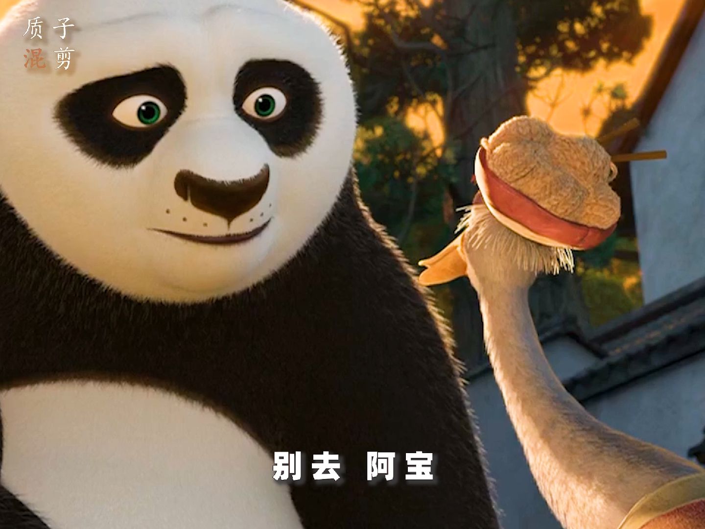 小熊猫 我的小阿宝