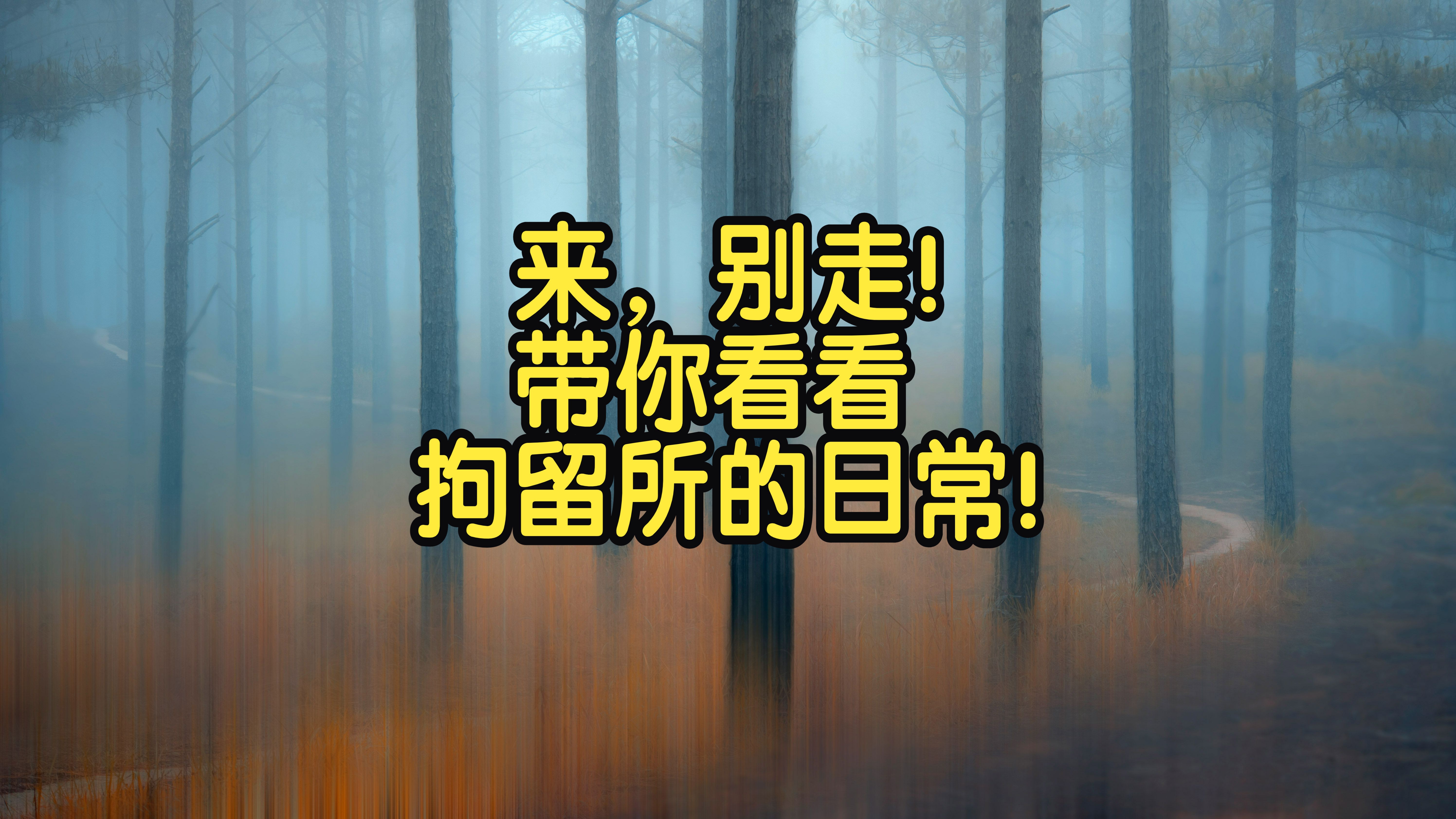 来,带你看看拘留所的日常!哔哩哔哩bilibili