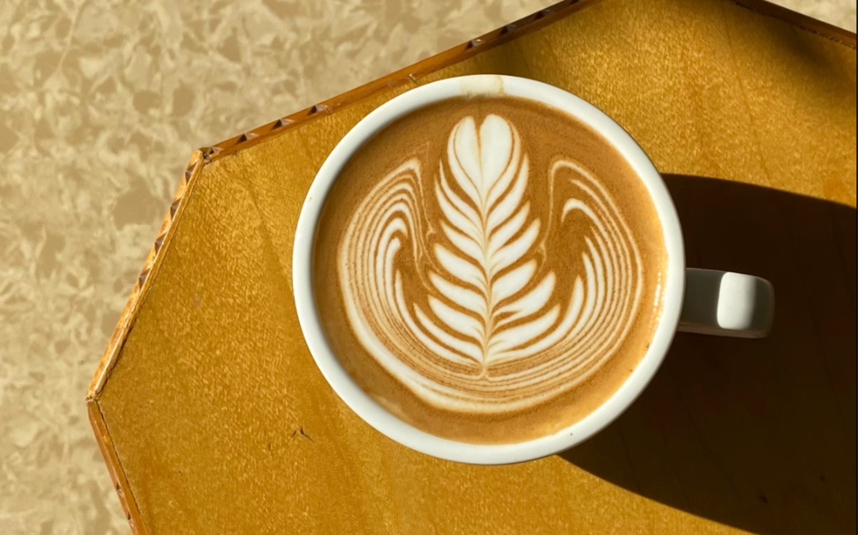 咖啡拉花127-今天几杯树叶_哔哩哔哩 (゜-゜)つロ 干杯~-bilibili