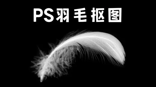 PS教程：橡皮擦工具-羽毛抠图技巧教学