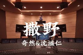 Video herunterladen: 在百万豪装录音棚大声听 奇然&沈谧仁《撒野》【Hi-res】