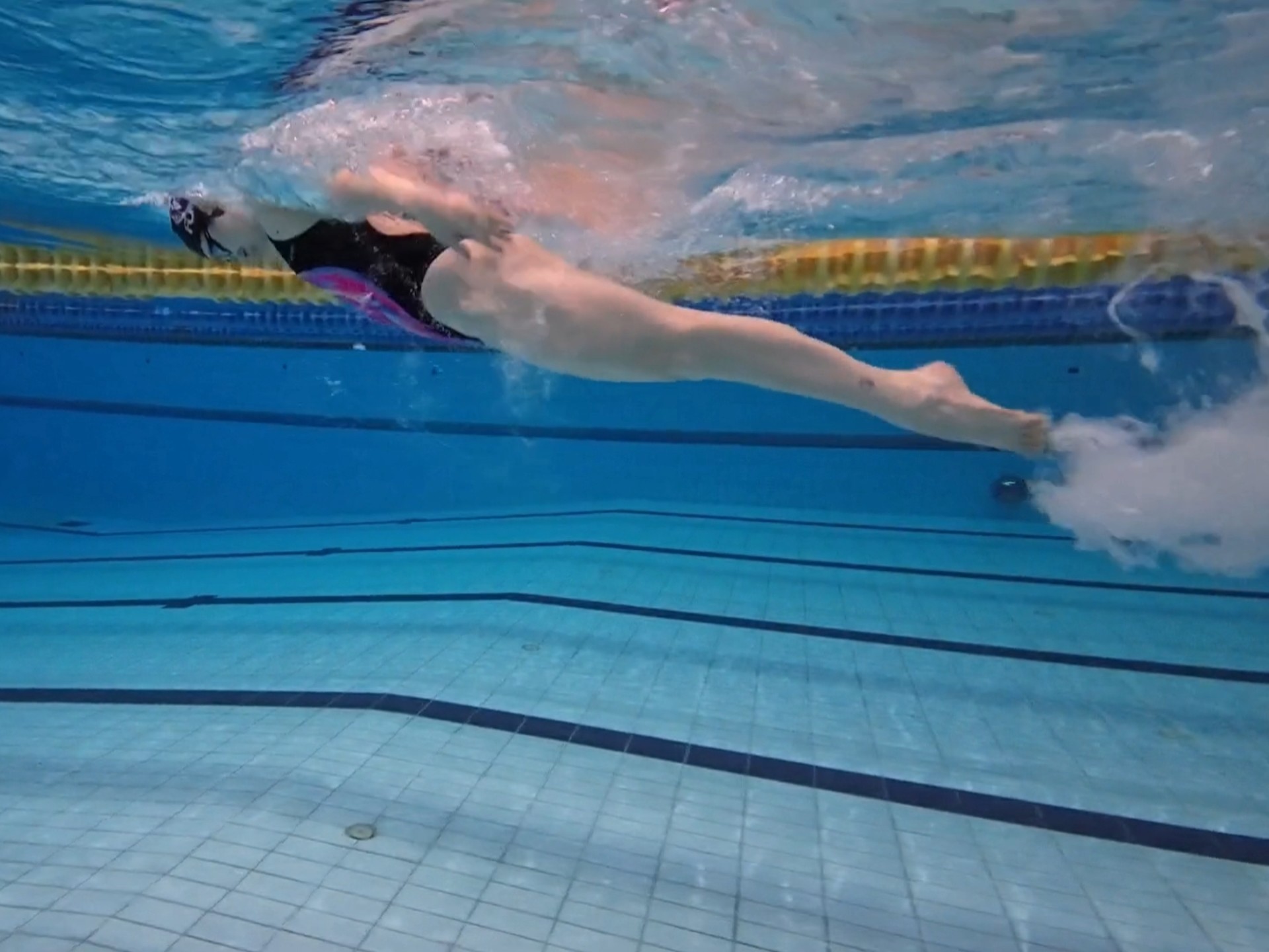 今天的蝶泳有点舒缓