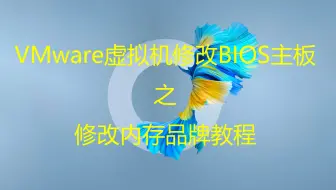 VMware虚拟机修改BIOS主板之修改内存品牌教程
