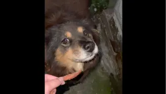 今天又是矜持兵兵～ （最后有小小小惊喜）