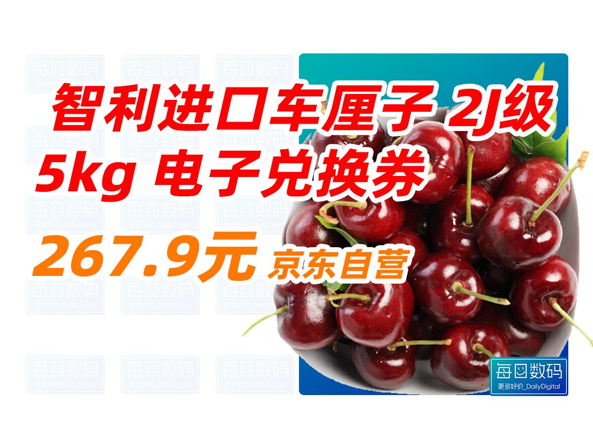 京鲜生 智利进口车厘子2J级 2830mm 5kg 电子兑换券 新鲜水果 267.9元(2024年11月10日)哔哩哔哩bilibili