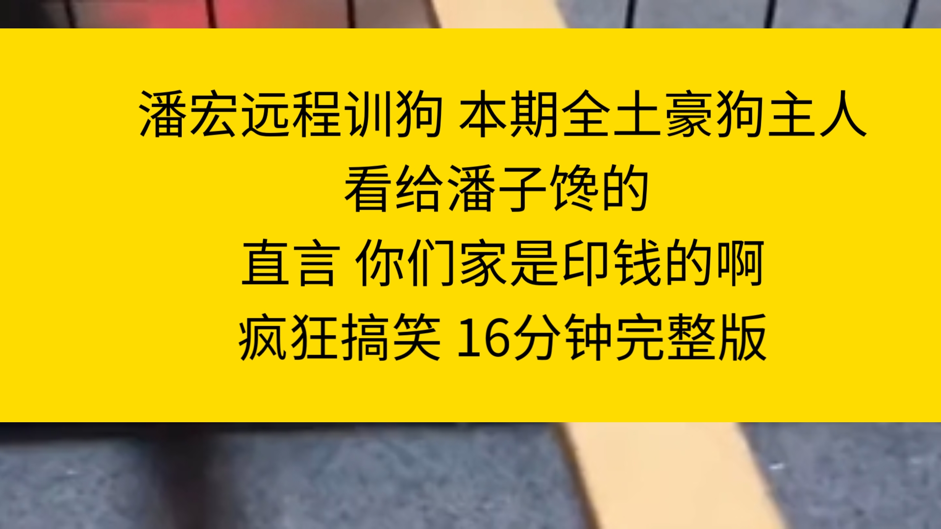 潘宏远程训狗 本期全土豪狗主人看给潘子馋的 直言 你们家是印钱的啊疯狂搞笑 16分钟完整版哔哩哔哩bilibili