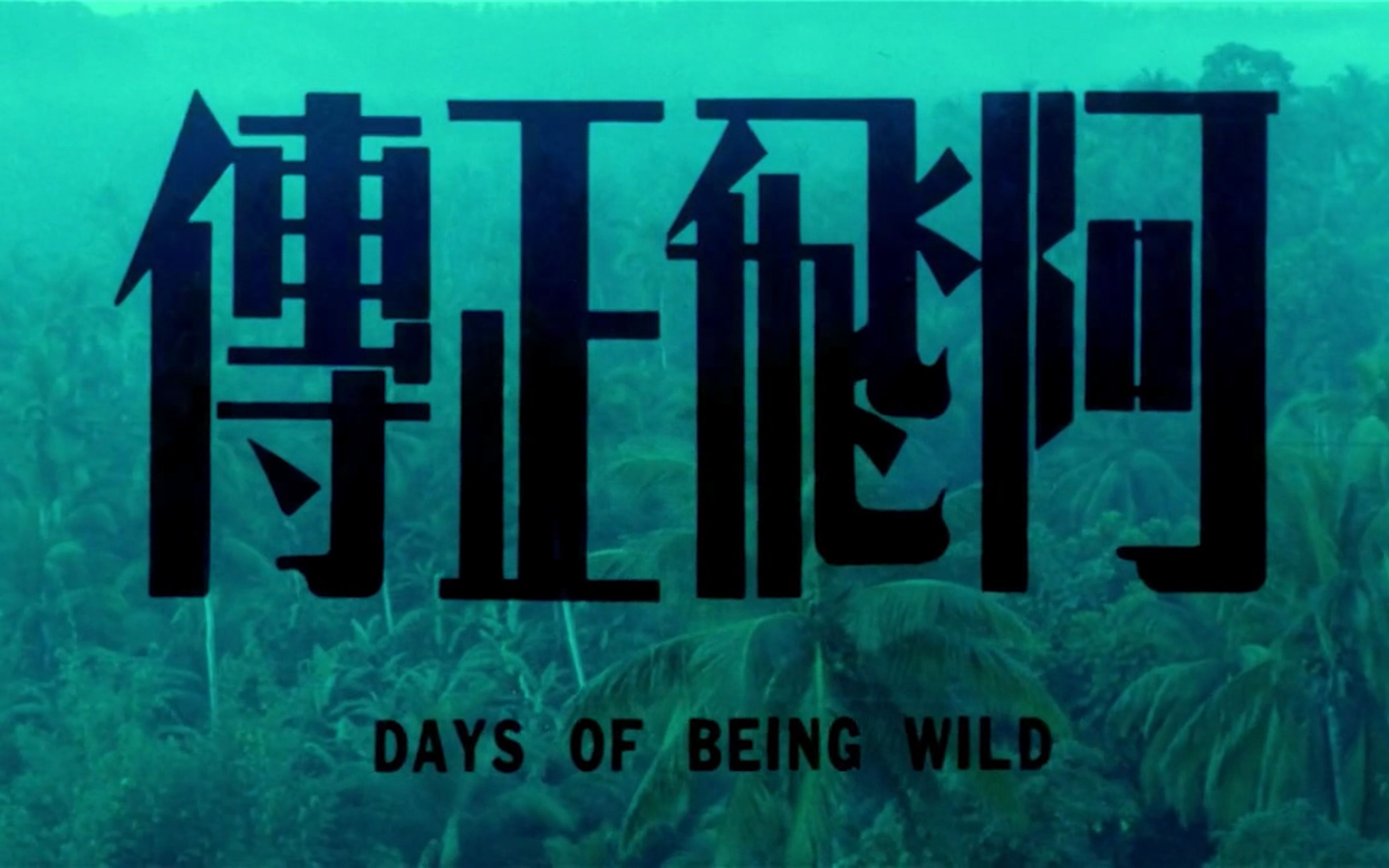 今天几号?_哔哩哔哩_bilibili