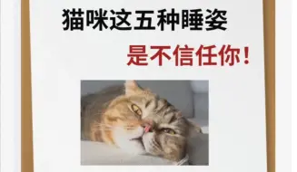 养猫小技巧301:猫咪不信任你的睡姿，铲屎官们快来看看吧！