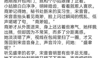 《替嫁新娘跑路后,霸总追妻火葬场了》商渺盛聿小说阅读哔哩哔哩bilibili