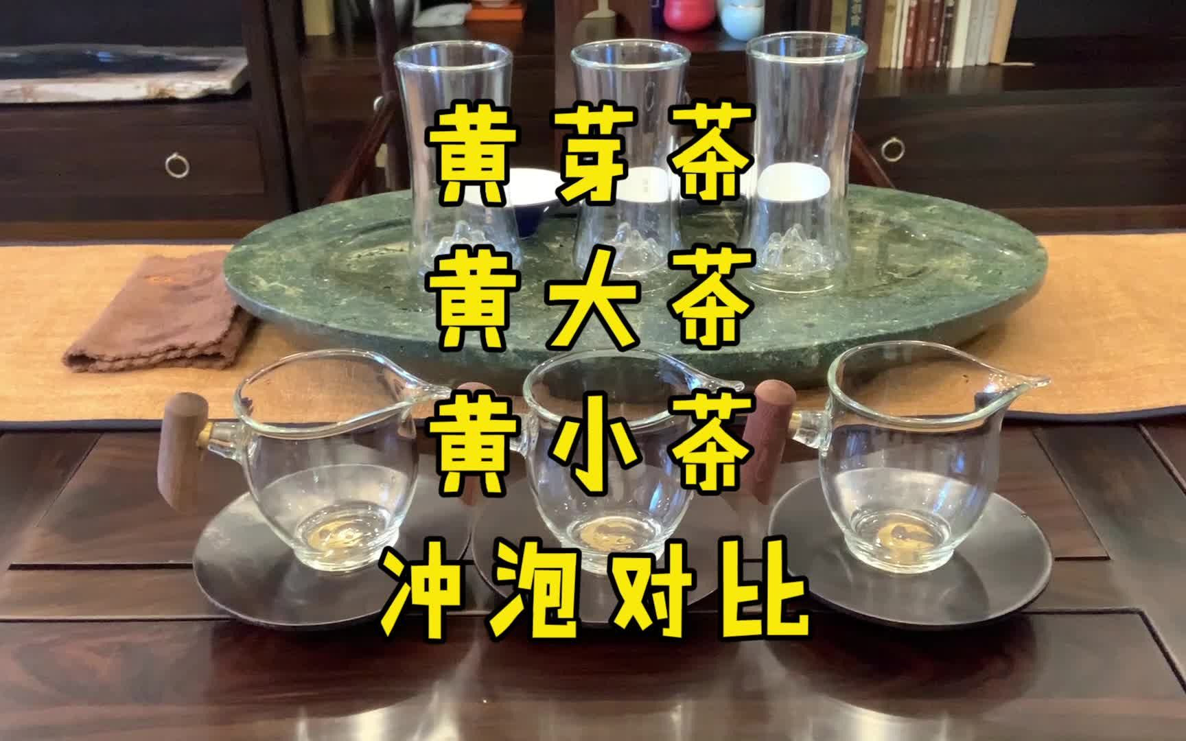 【黄茶】黄芽茶、黄大茶、黄小茶的冲泡对比哔哩哔哩bilibili