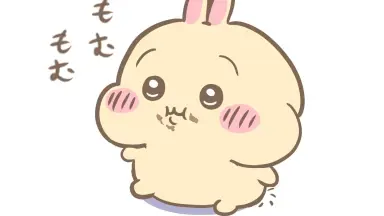 うさぎ。-哔哩哔哩_Bilibili
