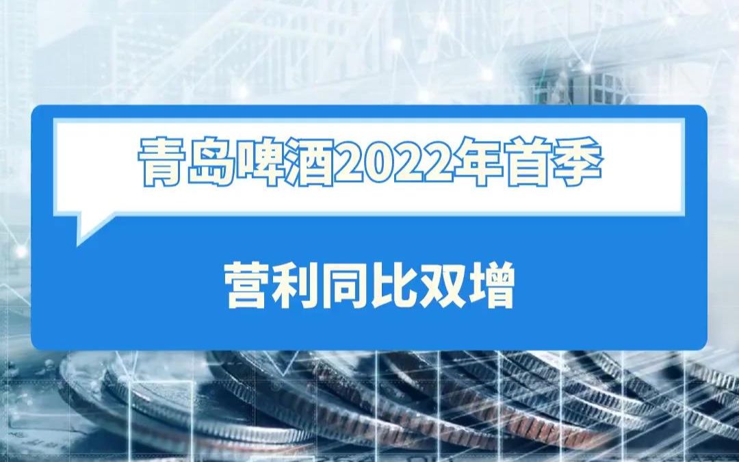 青岛啤酒2022年首季 营利同比双增哔哩哔哩bilibili