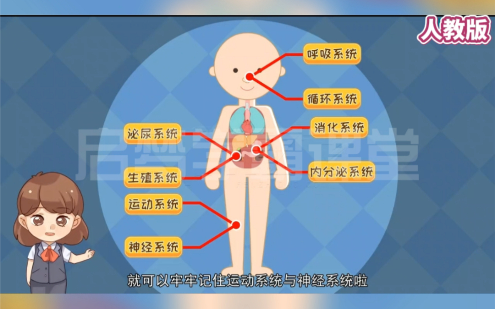 [图]七年级上册生物《人体八大系统》人教版，把书本知识做成动画视频，化抽象为具体，让知识看得见、动起来，生动形象，直观易懂，更容易理解掌握知识点