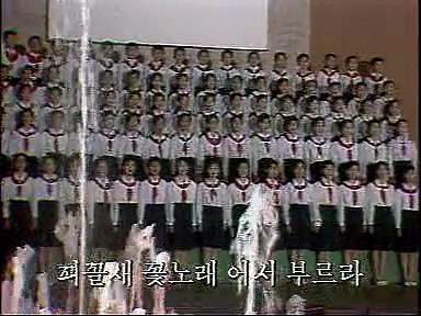 [图]1998年朝鲜万景台少年宫演出