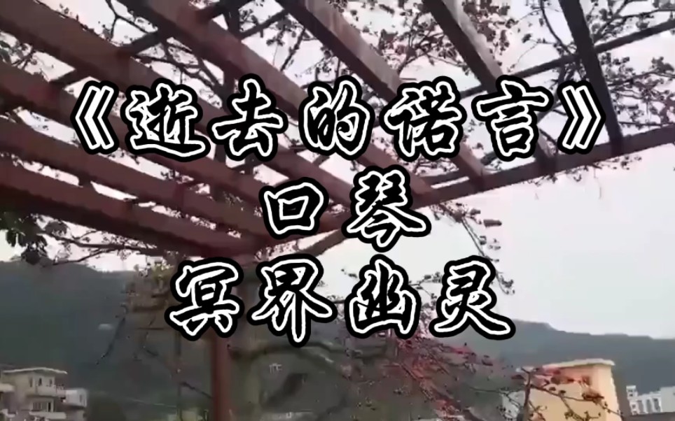 [图]《逝去的诺言》口琴完整版。繁华落尽君辞去，那些绝美的诺言，终是洒落在岁月的尘埃里，半世情缘终是离殇。