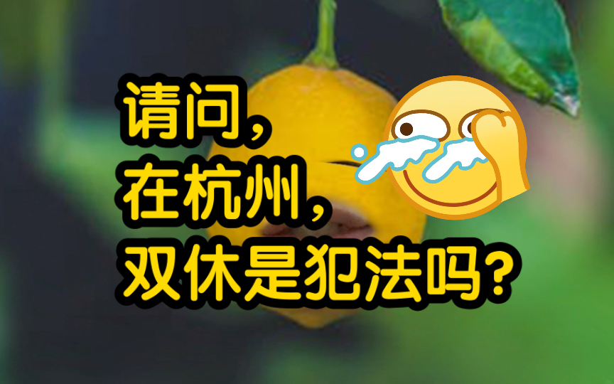 请问,在杭州,双休是犯法吗?哔哩哔哩bilibili