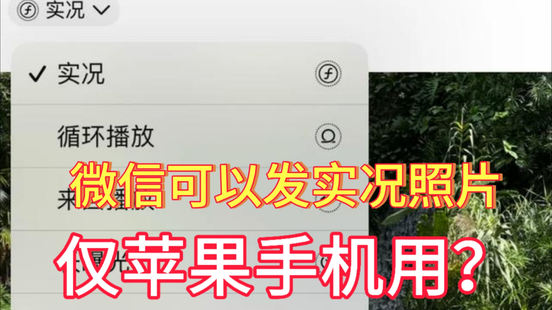 仅苹果手机可用?微信朋友圈可以发实况照片哔哩哔哩bilibili