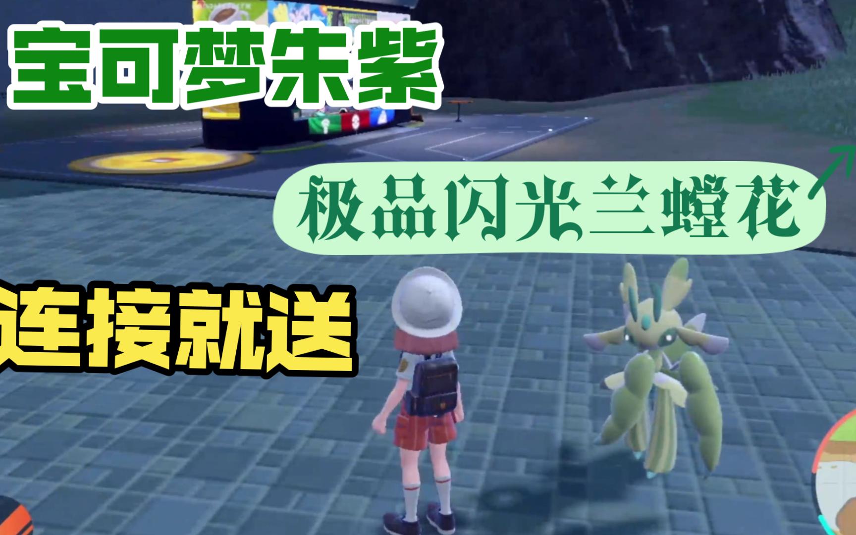 宝可梦朱紫最大体型极品闪光兰螳花连接就送