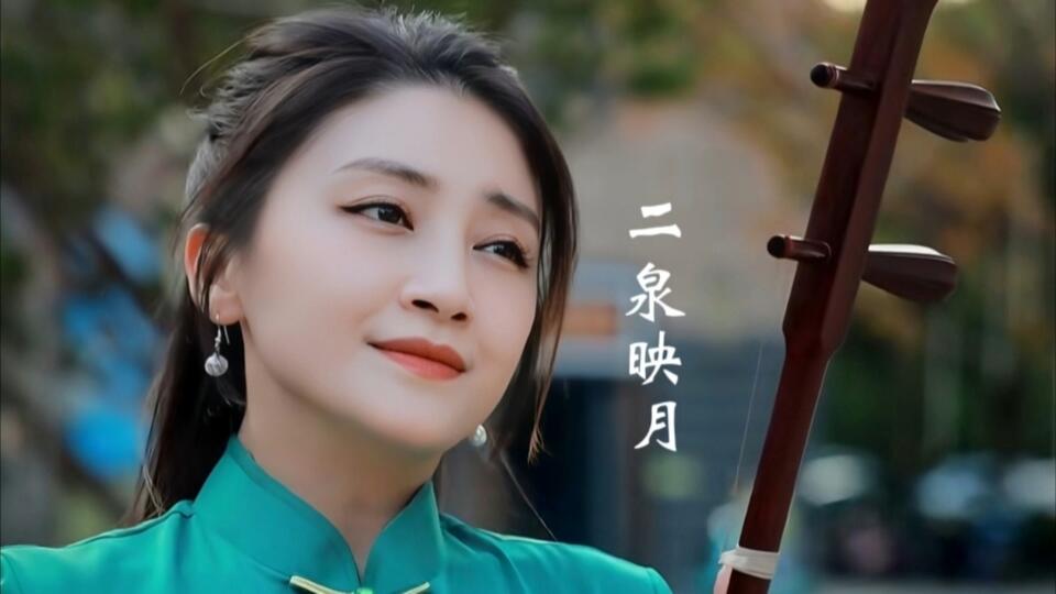 二胡 二泉二胡 / 二泉琴：黒檀/木目が美しい 家彭二胡 二胡｜