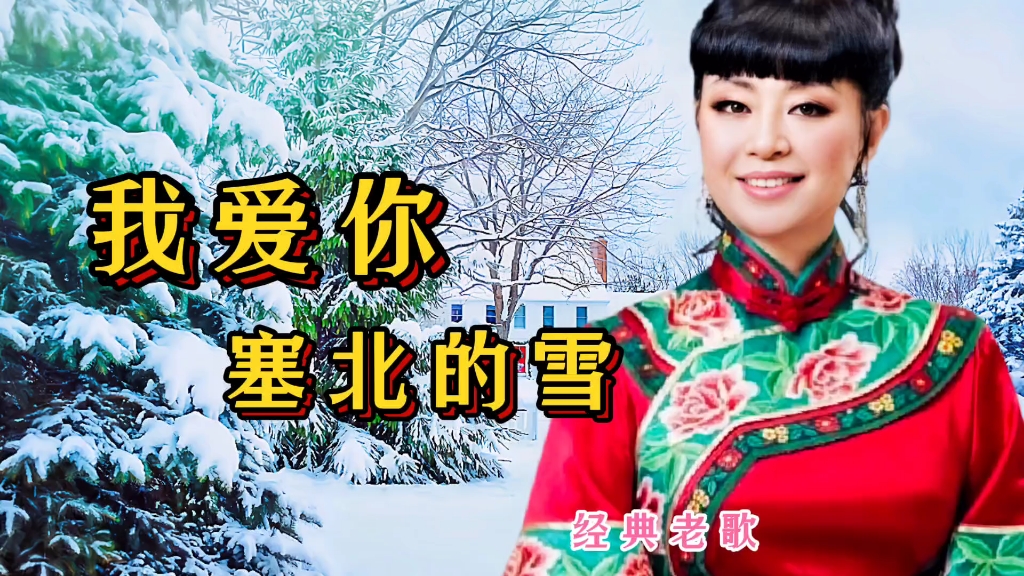 我爱你塞北的雪教唱图片