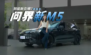 Download Video: 问界新M5？不，明明是保时界！