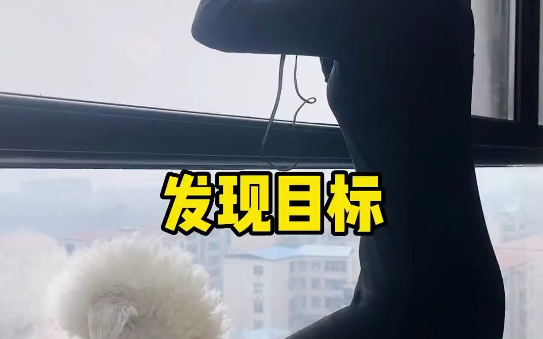 我愿意做一个乐于助人的小飞机!哔哩哔哩bilibili