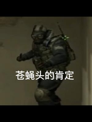 [图]#csgo日常 #csgo搞笑时刻 来自可爱苍蝇头的肯定