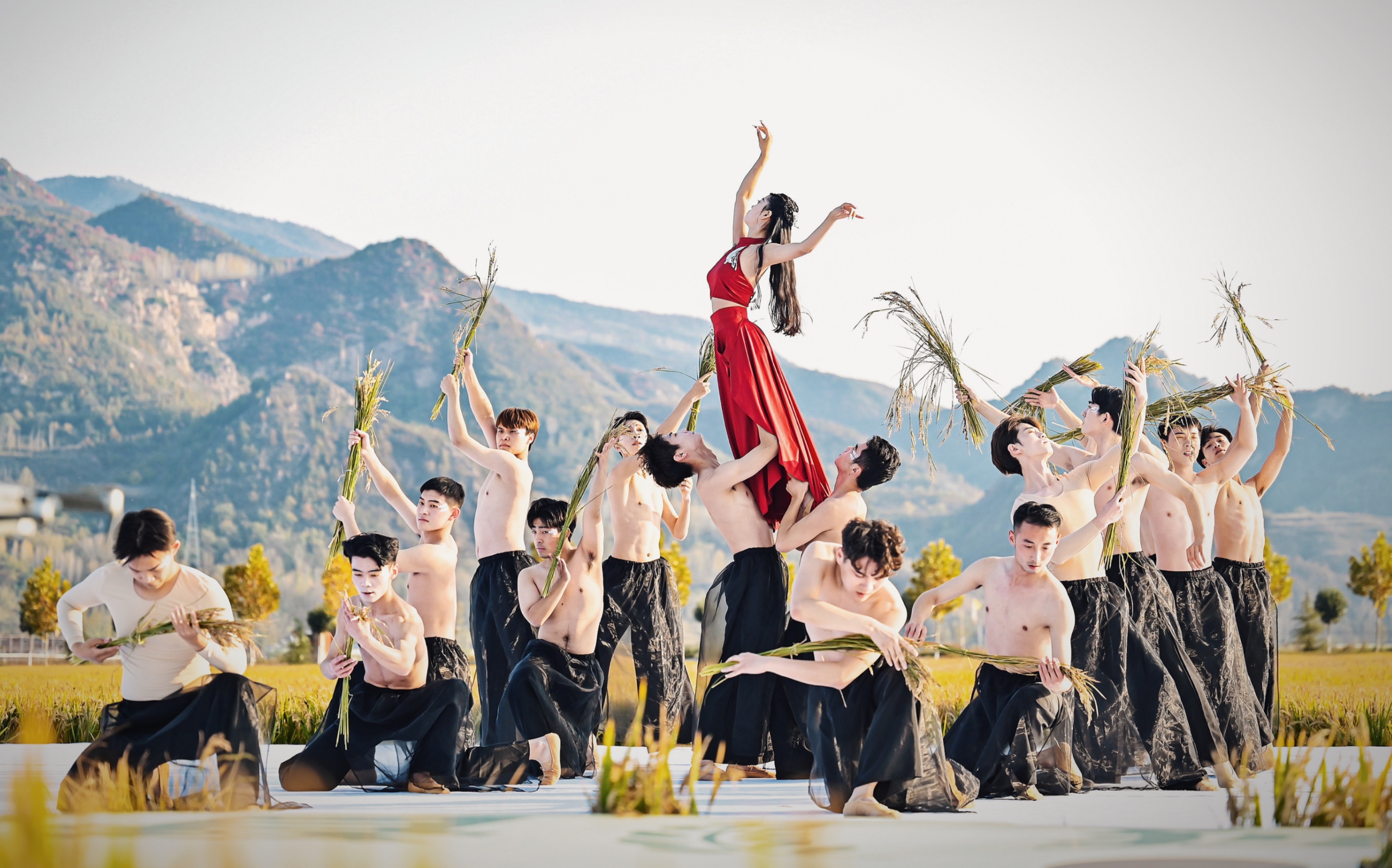 汝阳稻田音乐节|原创舞蹈《独稻》"春雷惊醒万物生长"