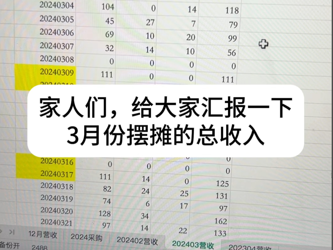 25岁裸辞摆摊一个月总收入哔哩哔哩bilibili