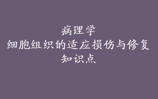 病理学 细胞组织的适应损伤与修复 知识点哔哩哔哩bilibili