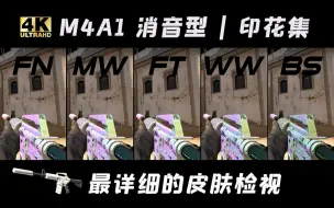 Download Video: 【文艺复兴】【CSGO】M4A1消音型 | 印花集体 全部磨损游戏中检视 |崭新 | 略磨 | 久经 | 破损| 战痕|