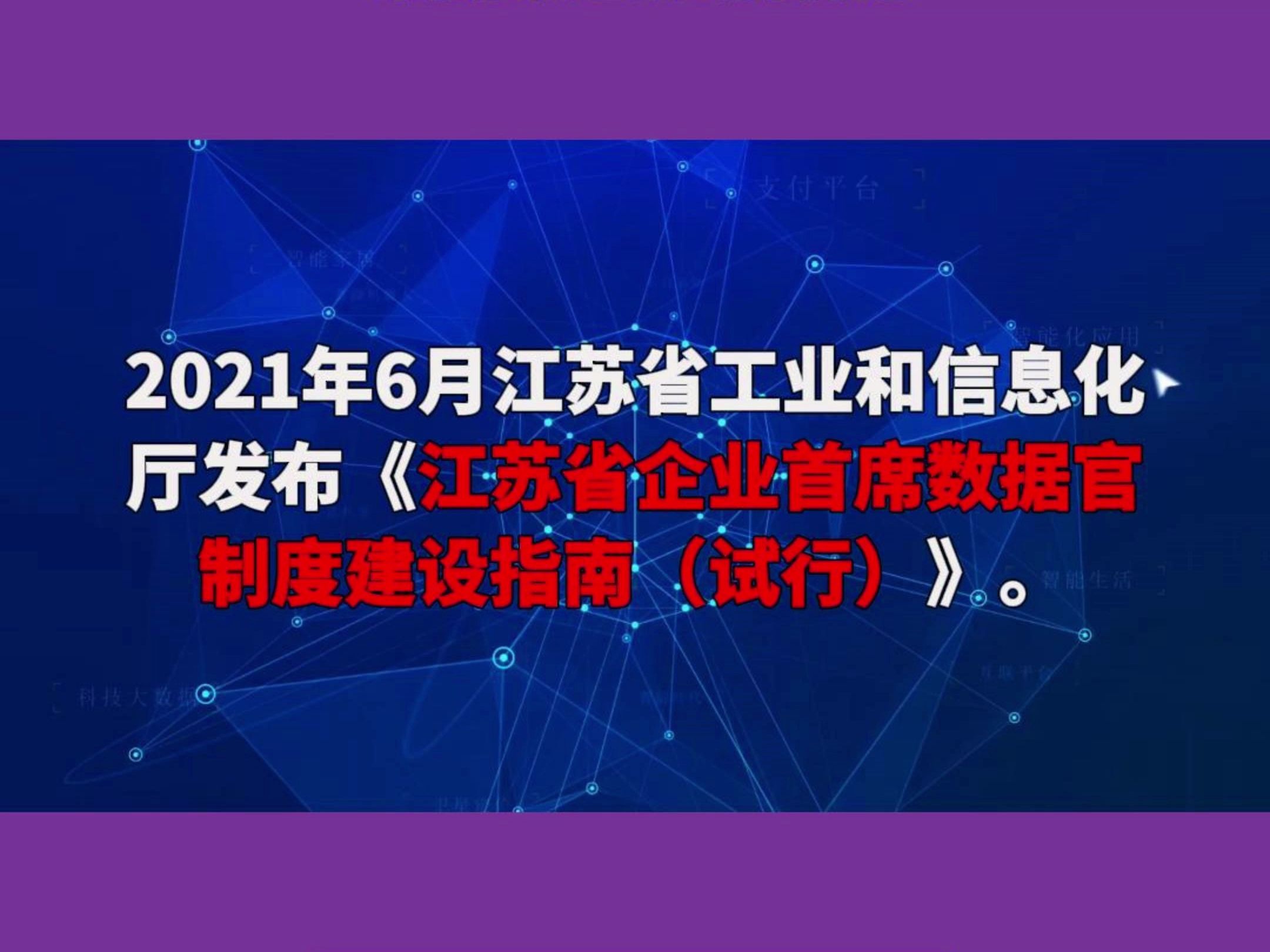 江苏省企业首席数据官制度建设指南哔哩哔哩bilibili