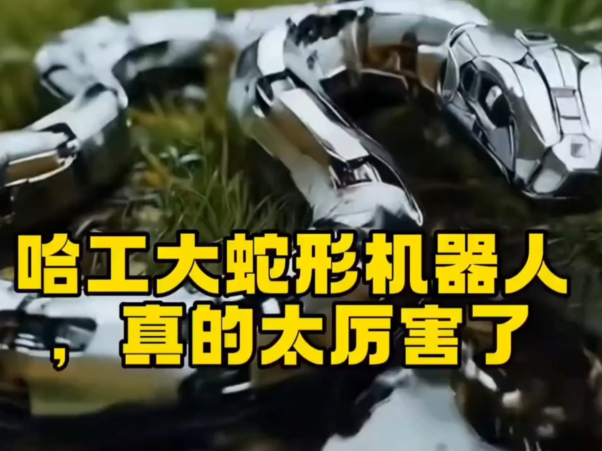 哈工大发明蛇形机器人,可以用于军事了,真的太厉害了